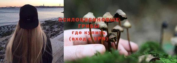 спайс Каменногорск