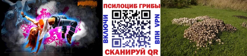 Купить  Новотитаровская  Псилоцибиновые грибы мицелий 